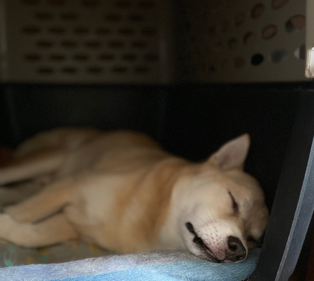 It’s My Party & I’ll Sleep if I Want Too!